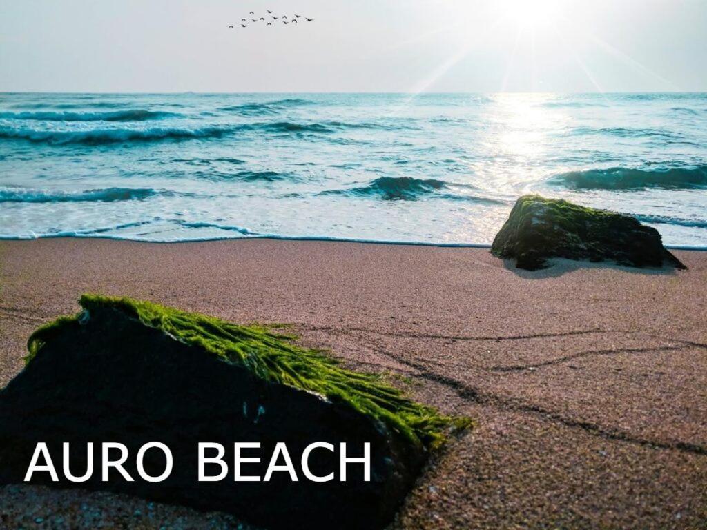 Pv Cottages Serenity Beach Пудучеррі Екстер'єр фото